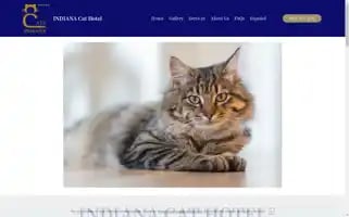 Indianacathotel.com Screenshot 2024-04-16 21:45:32