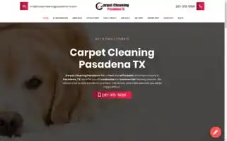 Carpetcleaningpasadena-tx.com Screenshot 2024-07-06 03:33:55