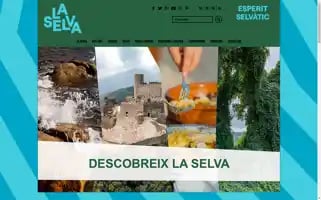 Laselvaturisme.com Screenshot 2024-07-09 04:49:21