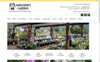 Harlequinsgardens.com Screenshot 2024-05-10 00:50:40