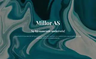 Millor.no Screenshot 2024-06-27 04:21:51