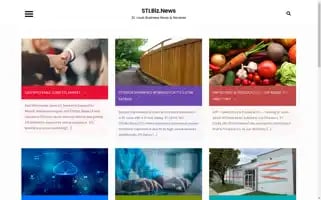 Stlbiz.news Screenshot 2024-06-26 16:31:45