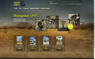 Fiedlertravel.com Screenshot 2024-04-16 15:04:15