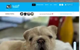 Lasvegasallstarkennel.com Screenshot 2024-05-23 12:37:42