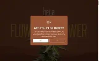 Heyawellness.com Screenshot 2024-07-05 13:47:22