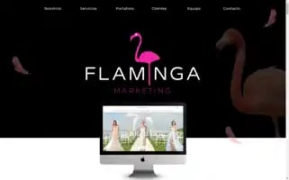 Flaminga.mx Screenshot 2024-06-15 14:31:45