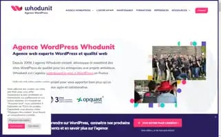 Whodunit.fr Screenshot 2024-06-28 21:32:39