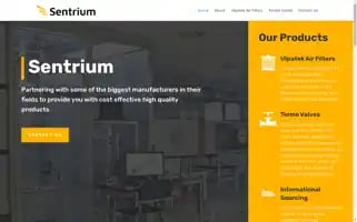 Sentrium.com.au Screenshot 2024-07-09 08:15:14