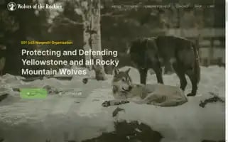 Wolvesoftherockies.org Screenshot 2024-06-12 06:25:30