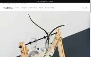 Nestora.co.uk Screenshot 2024-05-03 19:46:25