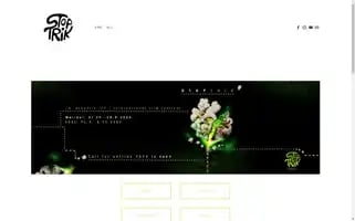 Stoptrik.com Screenshot 2024-06-30 00:00:32