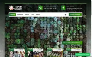 Toptansukulent.com Screenshot 2024-06-29 11:18:39