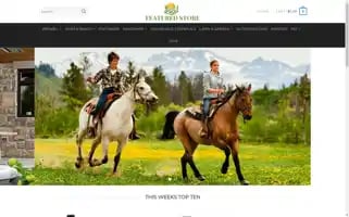 Bestshopplus.com Screenshot 2024-05-26 02:06:47