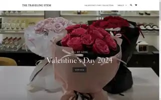 Thetravelingstem.com Screenshot 2024-04-22 18:17:10