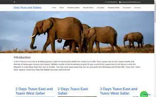 Didatoursandsafaris.com Screenshot 2024-04-14 20:20:10