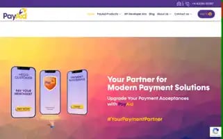 Payaidpayments.com Screenshot 2024-06-17 03:36:10