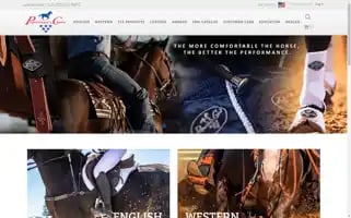 Profchoice.com Screenshot 2024-07-06 21:47:54