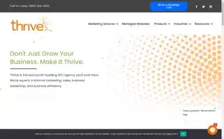 Thrivesearch.com Screenshot 2024-05-14 12:12:21