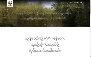 Wwf.org.mm Screenshot 2024-07-09 12:32:30