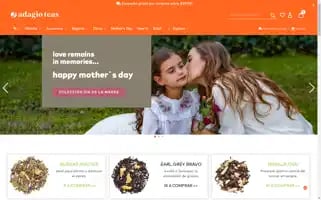 Adagio.cl Screenshot 2024-05-04 03:38:15