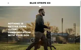 Bluestripek9.com Screenshot 2024-04-18 11:18:38