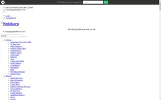 Nedokoro.com Screenshot 2024-04-15 13:30:43