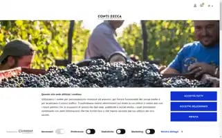 Contizecca.it Screenshot 2024-06-13 02:06:00
