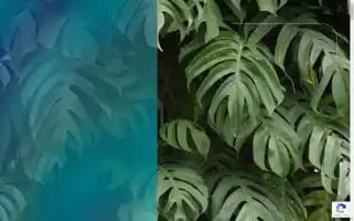 Jwam.com.au Screenshot 2024-07-05 14:48:46