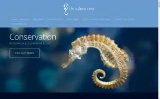 Theseahorsetrust.org Screenshot 2024-06-30 18:25:05