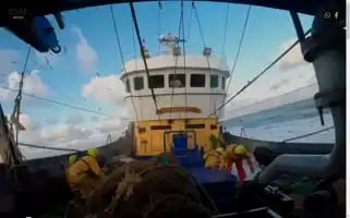 Roan.group Screenshot 2024-06-17 01:44:24