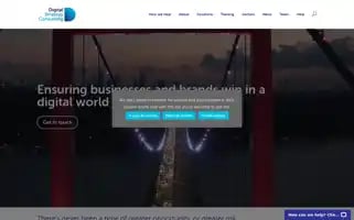 Digitalstrategyconsulting.com Screenshot 2024-05-09 10:02:37