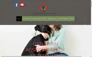 Cavcm.com Screenshot 2024-06-30 13:02:47