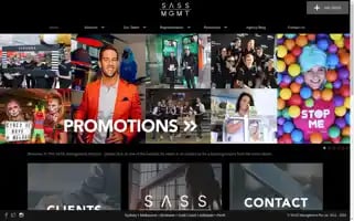 Sassmanagement.com Screenshot 2024-05-13 19:55:07
