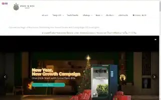 Weedinboxth.com Screenshot 2024-05-21 18:24:33