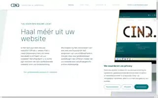 Cinq-consulting.com Screenshot 2024-06-27 04:19:38