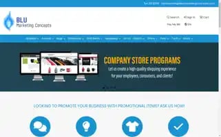 Blumarketingconcepts.com Screenshot 2024-05-08 20:05:15