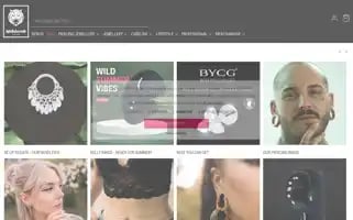 Wildcat.eu Screenshot 2024-06-27 03:34:48