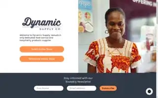 Dynamicvanuatu.com Screenshot 2024-05-04 11:07:58