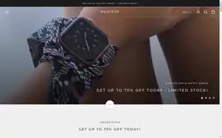 Shopwristpop.com Screenshot 2024-05-16 17:12:57