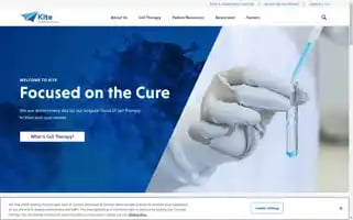 Kitepharma.com Screenshot 2024-07-07 07:42:10