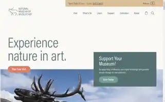 Wildlifeart.org Screenshot 2024-07-08 15:07:48