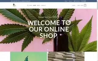 Budexoticshop.com Screenshot 2024-05-25 06:49:50