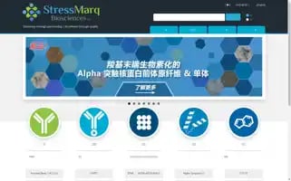 Stressmarq.cn.com Screenshot 2024-07-01 23:46:33