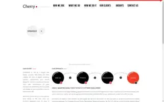 Redcherryinc.ca Screenshot 2024-07-07 02:08:16
