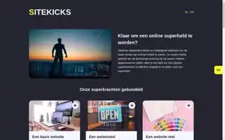 Sitekicks.be Screenshot 2024-06-14 14:22:34