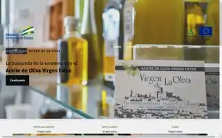 Virgenolivadeespejo.com Screenshot 2024-05-23 21:57:32