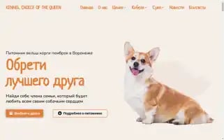 Choiceofthequeen.ru Screenshot 2024-05-28 17:45:06