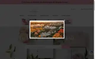 Newjerseybride.com Screenshot 2024-07-05 19:36:56