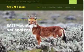 Elmitourethiopia.com Screenshot 2024-04-17 16:20:23