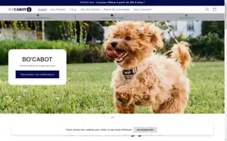 Bo-cabot.com Screenshot 2024-05-03 20:06:08